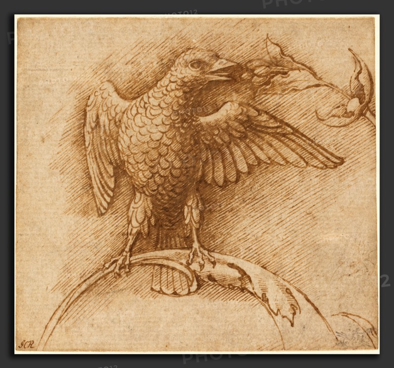 Andrea Mantegna (Italian, c. 1431 - 1506), A Bird Perched on a Branch with Fruit, 1460s, pen and brown ink on laid paper