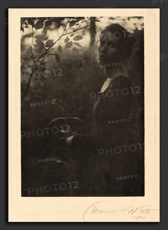 Clarence H. White, Edge of the Woods, Evening, American, 1871 - 1925, 1900, photogravure