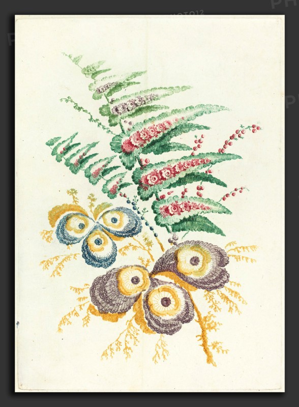 Anne Allen after Jean-Baptiste Pillement (French, active 1790s), Fantastic Flowers with Oyster-shell Blossoms, c. 1795, etching inked Ã  la poupée in green, blue, red, purple, golden brown, and yellow on pale green wove paper