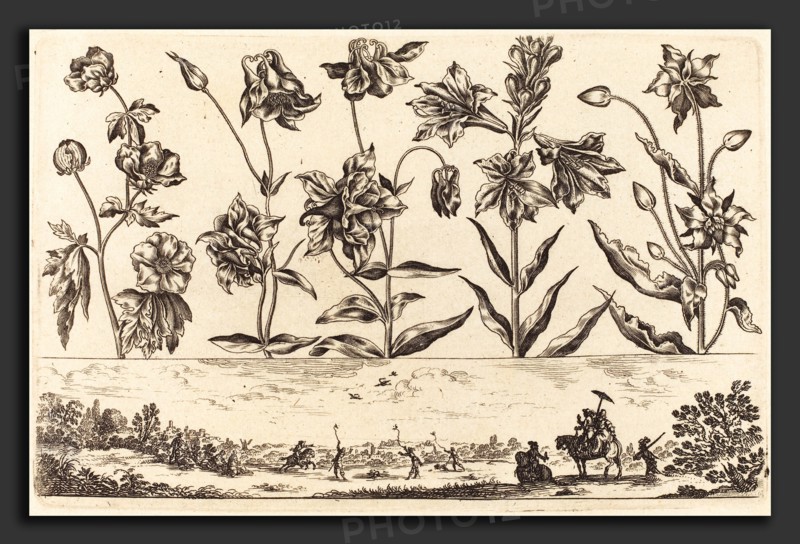 Nicolas Cochin after Balthasar Moncornet (French, 1610 - 1686), Flower Print no.6, 1645, etching