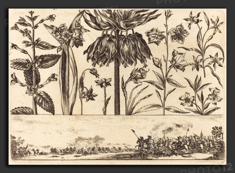 Nicolas Cochin after Balthasar Moncornet (French, 1610 - 1686), Flower Print no.10, 1645, etching