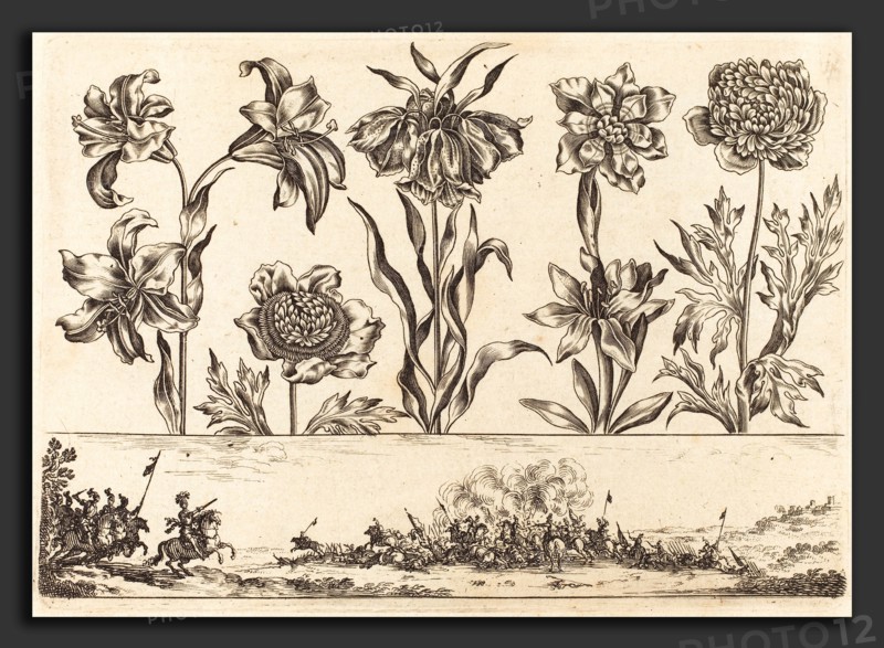 Nicolas Cochin after Balthasar Moncornet (French, 1610 - 1686), Flower Print no.8, 1645, etching