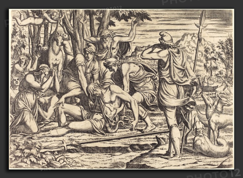 Léon Davent after Luca Penni (French (?), active 1540-1556), The Death of Adonis, etching