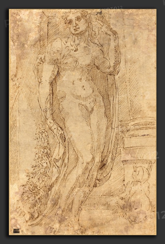 Jacopo di Giovanni di Francesco (Italian, 1495 - 1553), Allegorical Figure with a Cat and a Pig, c. 1530, pen and brown ink over traces of black chalk on laid paper