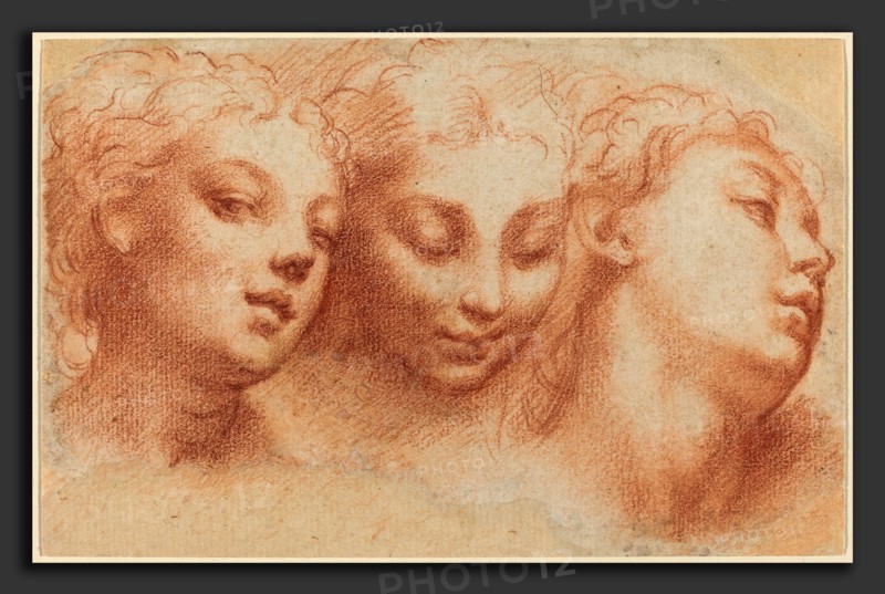 Parmigianino (Italian, 1503 - 1540), Three Feminine Heads, c. 1522-1524, red chalk on laid paper