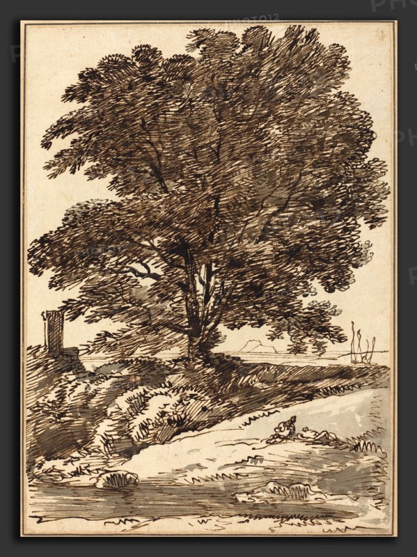 Franz Innocenz Josef Kobell (German, 1749 - 1822), Seacoast with a Great Tree, pen and brown ink and touches of gray ink with gray washes on laid paper