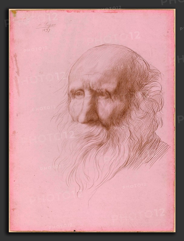 Alphonse Legros (French, 1837 - 1911), Head of an Old Man, 1897, metalpoint on pink bristol board
