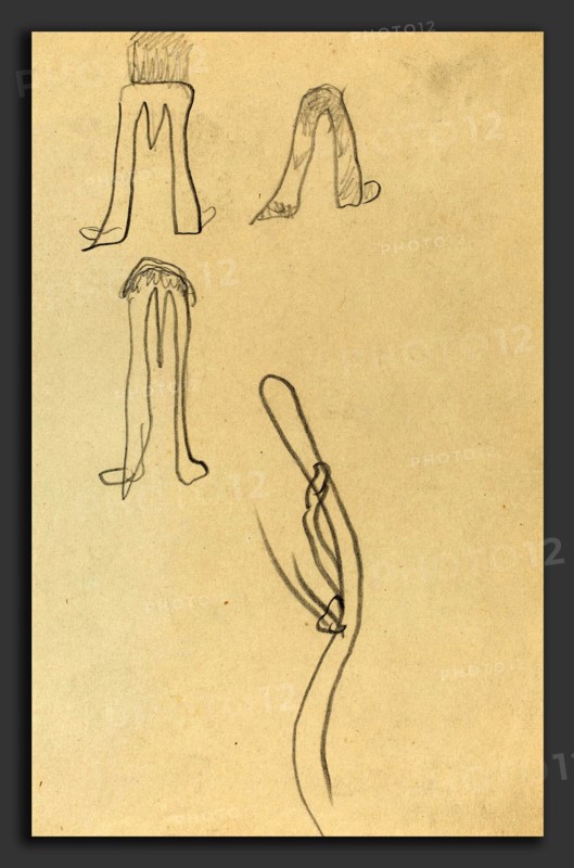 Paul Gauguin (French, 1848 - 1903), Four Fantastic Forms [recto], 1884-1888, graphite on wove paper