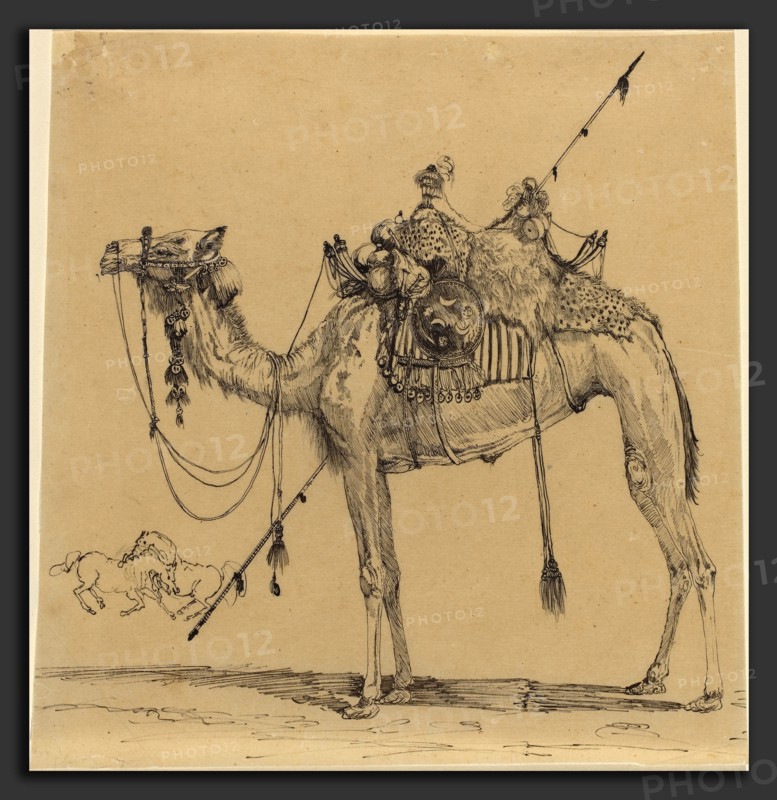 Rodolphe Bresdin (French, 1822 - 1885), The Camel, pen and ink tracing