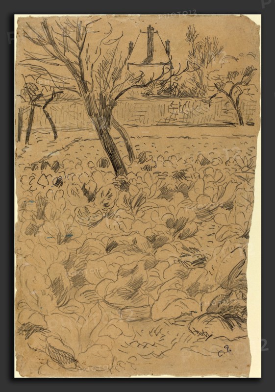 Pissarro, Le champ de choux