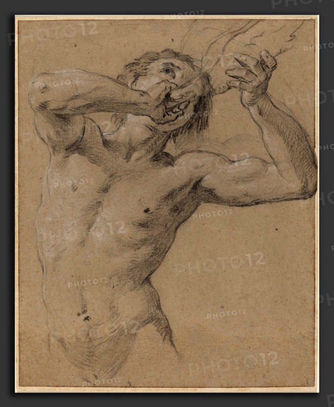 Jean-Baptiste Nattier (French, 1678 - 1726), A Triton Blowing a Conch Shell, 1724, black chalk heightened with white chalk on gray-brown laid paper