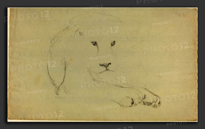 John Flaxman (British, 1755 - 1826), Lion, graphite