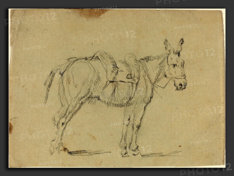 John Flaxman (British, 1755 - 1826), Donkey Stretching a Hind Leg, graphite on laid paper