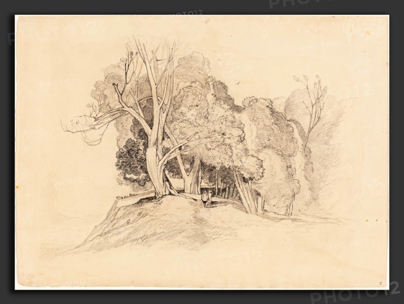 Attributed to John Sell Cotman (British, 1782 - 1842), Landscape with Trees, graphite on wove paper