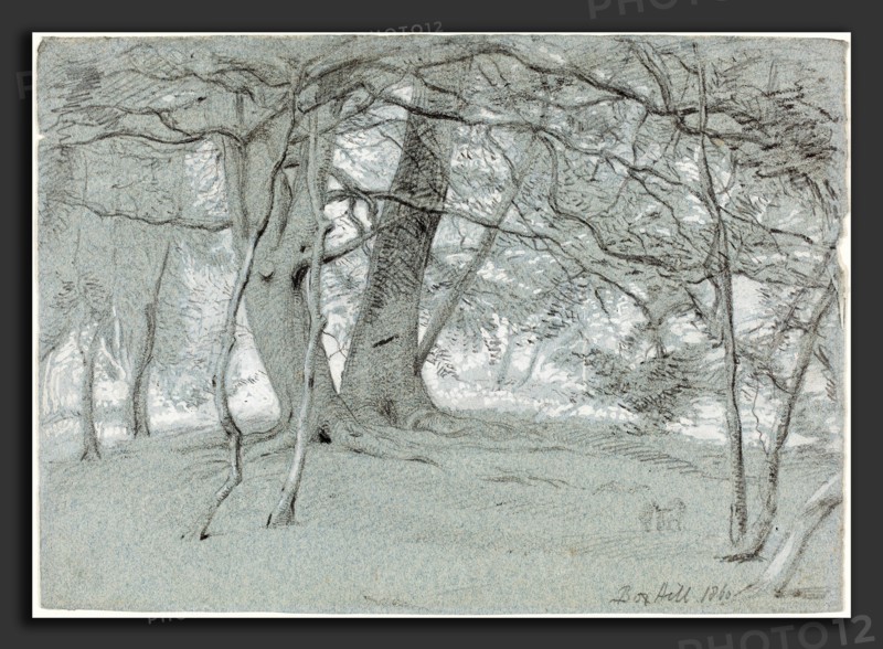Sir William Blake Richmond (British, 1842 - 1921), Trees at Box Hill, 1860, black chalk and graphite heightened with white on blue wove paper