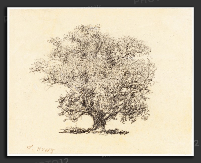 William Henry Hunt (British, 1790 - 1864), A Tree in Full-Leaf, graphite on wove paper