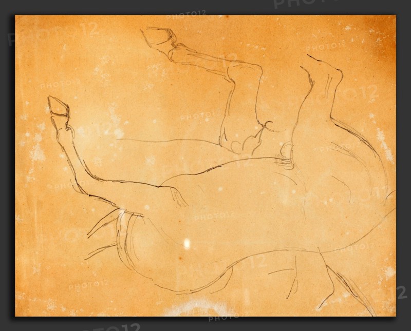 William Etty (British, 1787 - 1849), Study of a Horse, after 1807, graphite on wove paper