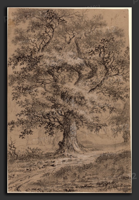Johann Caspar Huber (Swiss, 1752 - 1827), A Leafy Oak by a Woodland Path, 1780s, graphite, black and white chalk, and gray wash on buff paper
