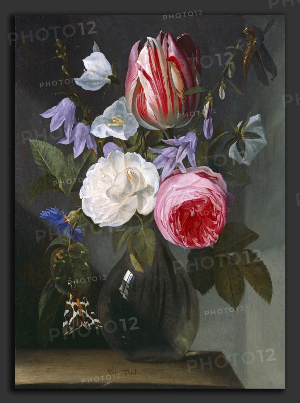 Jan Philips van Thielen, Roses and a Tulip in a Glass Vase, Flemish, 1618 - 1667, c. 1650-1660, oil on panel