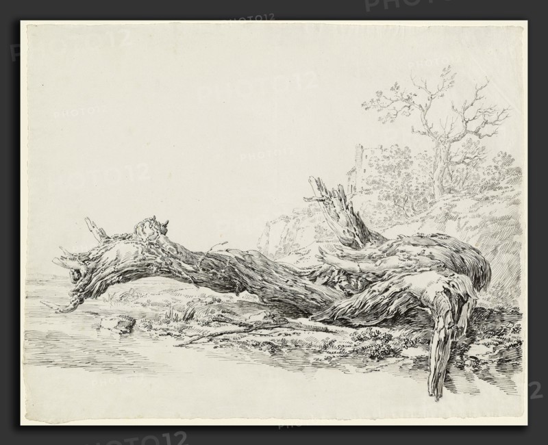 Jean-Antoine Constantin (French, 1756 - 1844), An Ancient Tree Fallen Beside a Stream, c. 1814, pen and black and gray ink over black chalk on laid paper