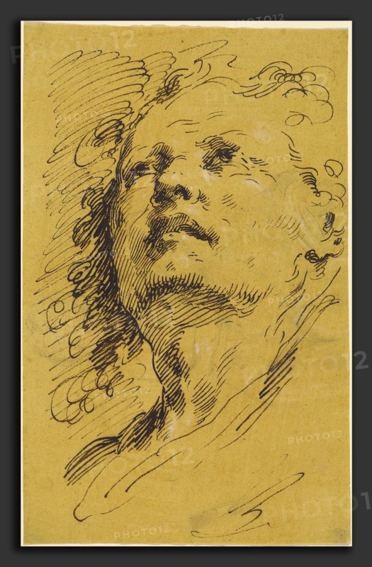 Pietro Antonio Novelli (Italian, 1729 - 1804), Head of a Man Looking Up, 1773-1779, pen and brown ink, heightened with white chalk, on paper washed ocher