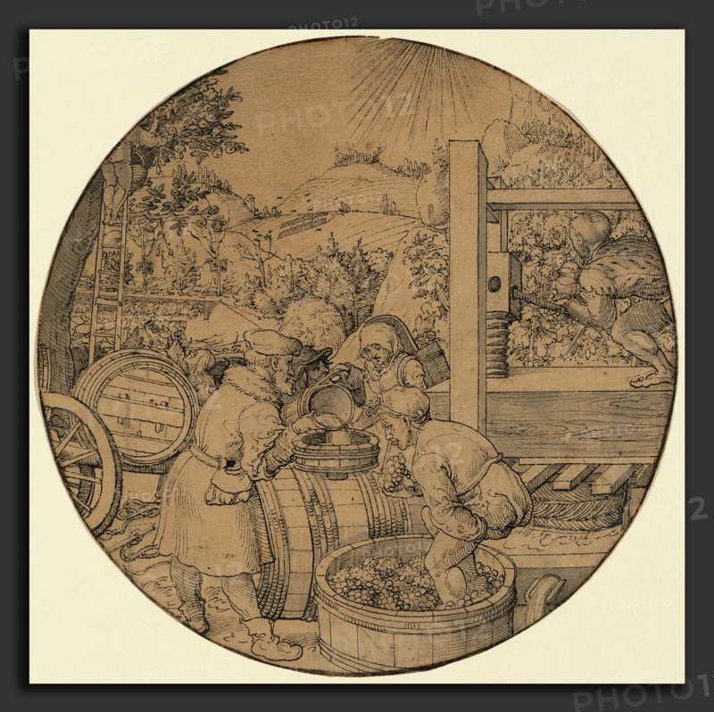 Jorg Breu I, The Wine Harvest (September), German, c. 1480 - 1537, in or before 1521, pen and black ink with gray wash on laid paper