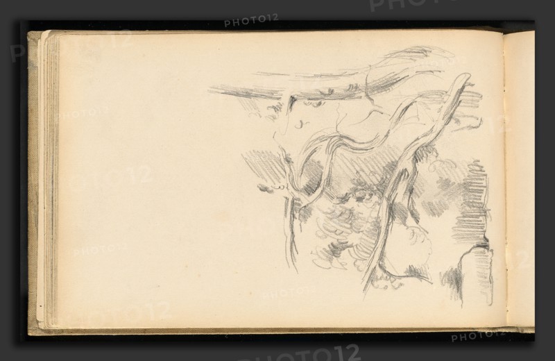 Paul Cézanne, Pine Tree, French, 1839 - 1906, 1882-1885, graphite on wove paper