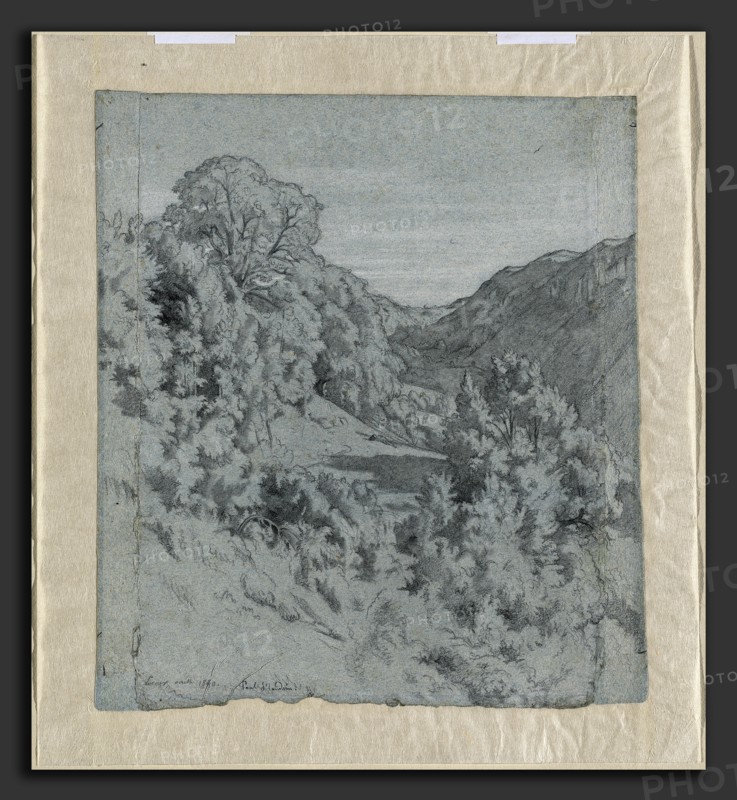Jean-Paul Flandrin (French, 1811 - 1902), Sunlit Trees in a Valley near Lacoux, 1840, black chalk heightened with white chalk on blue paper, with vertical strips added at left and right edges