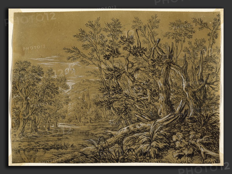 Jonas Umbach (German, c. 1624 - 1693), Stream through an Ancient Forest, black chalk heightened with white gouache on brown laid paper