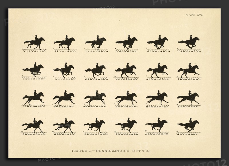 Eadweard Muybridge (American, born England, 1830 - 1904), The Horse in Motion as Shown by Instantaneous Photography with a Study on Animal Mechanics.., 1881-1882