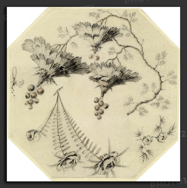 Jean-Baptiste Pillement, Pagoda Flowers and Roses, French, 1728 - 1808, black and red chalk on laid paper