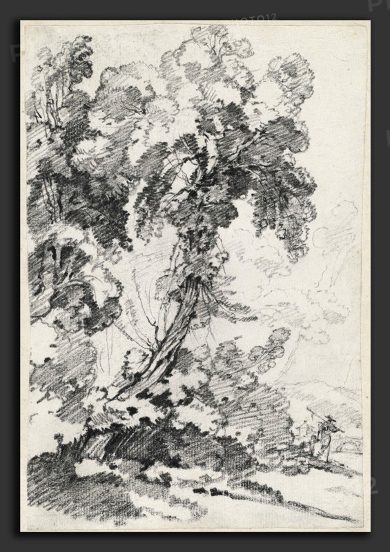 Joseph-Marie Vien, A Towering Tree with Travelers, French, 1716 - 1809, 1746-1749, black chalk on laid paper