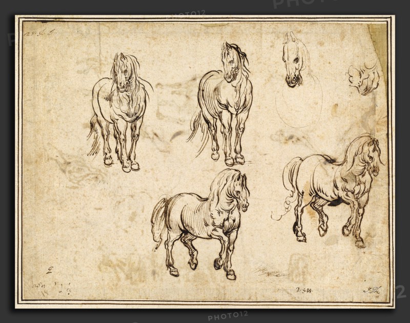 Jacques Callot after Antonio Tempesta, Studies of Horses [recto], French, 1592 - 1635, c. 1612, pen and iron gall ink on laid paper, with later framing line in brown ink