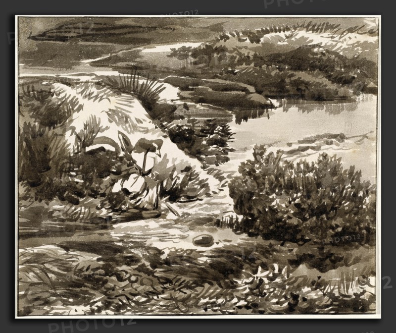 Franz Innocenz Josef Kobell (German, 1749 - 1822), Corner of a Meadow with a Stream, 1800-1820, brush and dark brown ink, framing lines in pencil and black ink and graphite, on very light green laid paper