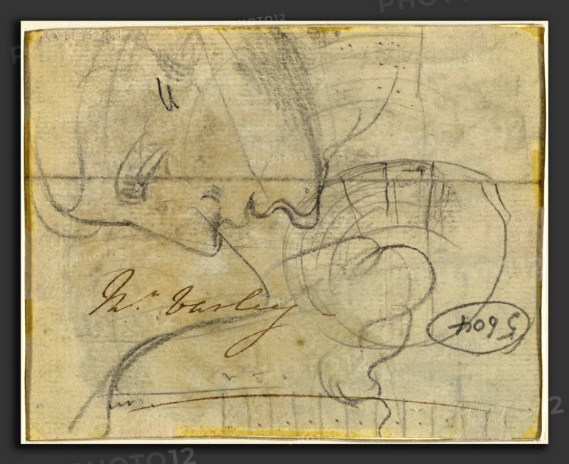 John Varley, Study of a Head in Profile, British, 1778 - 1842, gray wash and graphite on laid paper