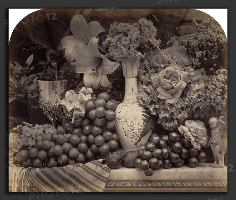 Roger Fenton, Fruit and Flowers, British, 1819 - 1869, 1860, albumen print from collodion negative