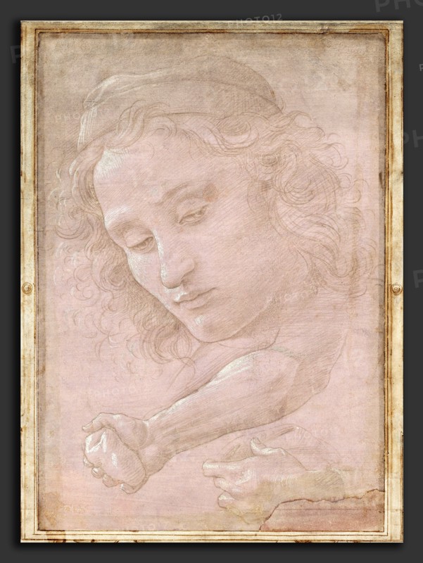 Sandro Botticelli (Italian, 1446 - 1510), Head of a Youth Wearing a Cap; a Right Forearm with the Hand Clutching a Stone; and a Left Hand Holding a Drapery, 1480-1485, metalpoint heightened with white gouache on mauve-prepared paper