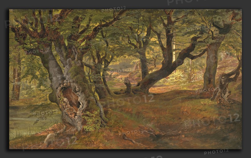 Frederik SÃ¸dring (Danish, 1809 - 1862), View of Bregentved Forest, Sjaeeland, mid 1830s, oil on canvas