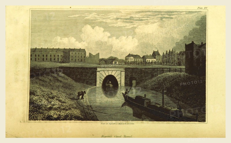 The history and antiquities of the parish of Islington, in the county of Middlesex, UK, 19th century engraving, London