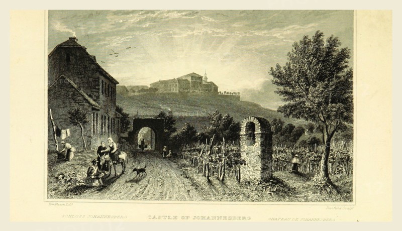 Castle of Johannesberg, Germany, Tombleson's Views of the Rhine, Tombleson's Views of the Rhine, 19th century engraving