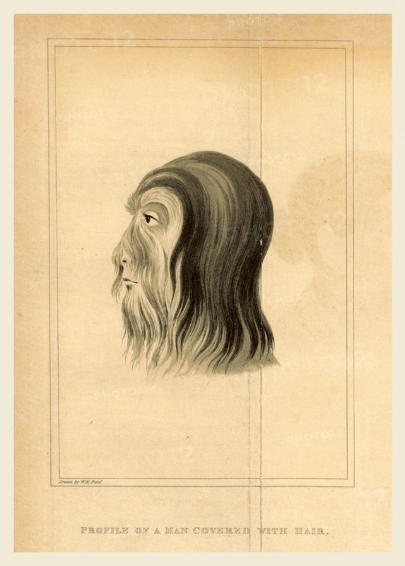 Journal of an Embassy from the Governor General of India to the Court of Ava  With an appendix, containing a description of fossil remains, by Professor Buckland and Mr. Clift, Man covered with hait, 19th century engraving