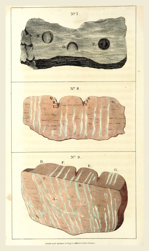 Observations on certain curious Indentations in the Old Red Sandstone of Worcestershire and Herefordshire, considered as the tracks of antediluvian animals, 19th century engraving