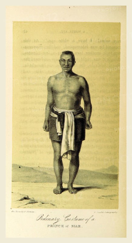 Prince of Siam, A Voyage round the World, including an embassy to Muscat and Siam, in 1835-6 and 1837, 19th century engraving