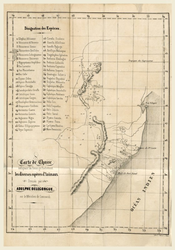 Travel in Southern Africa, especially in the territory of Natal, in the Kaffir Amazoulous and Makatisses 1838-1844, 19th century engraving