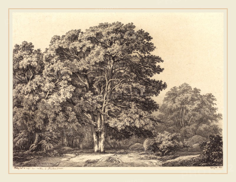 EugÃ¨ne Bléry (French, 1805-1887), Entrance to a Forest, 1840, etching with drypoint and roulette on chine collé