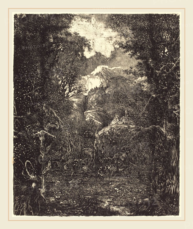 Rodolphe Bresdin (French, 1822-1885), The Towns Behind the Marsh, probably 1868, lithograph