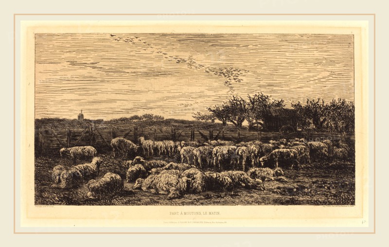 Charles-FranÃ§ois Daubigny (French, 1817-1878), Large Sheepfold (Le Grand parc a moutons), 1860, etching