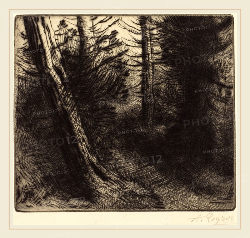 Alphonse Legros, Path through the Woods (Sentier sous bois), French, 1837-1911, drypoint