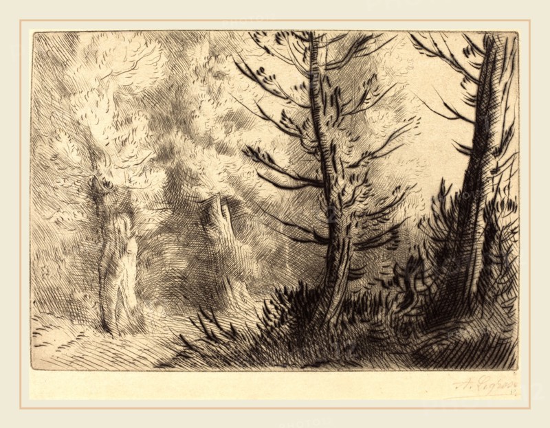 Alphonse Legros, In the Forest of Fontainebleau (Dans le foret de Fontainebleau), French, 1837-1911, etching? and drypoint