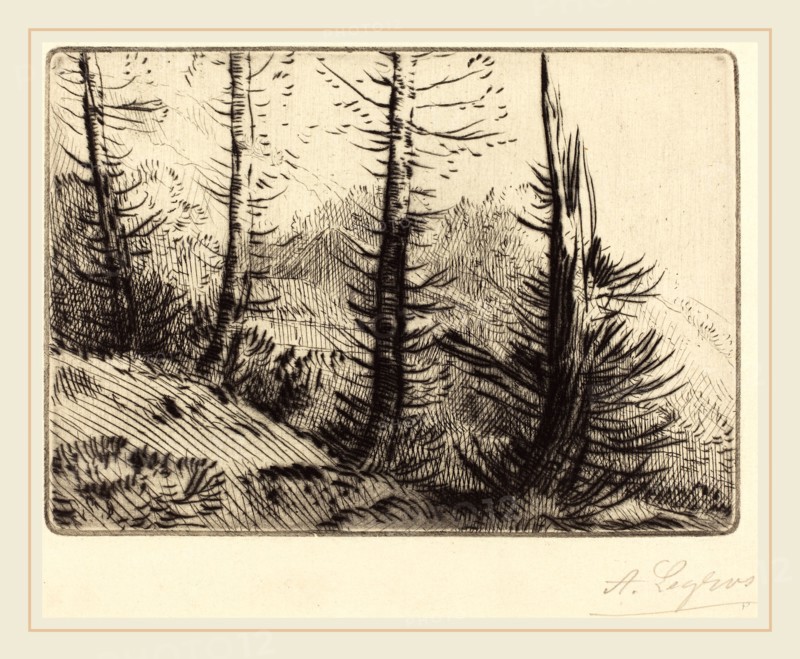Alphonse Legros, In the Pyrenees (Dans les Pyrenees), French, 1837-1911, etching and drypoint